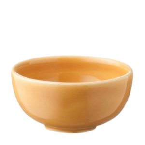 ceramic bowl dining sauce dish