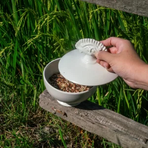 ceramic bowl cili collection dining