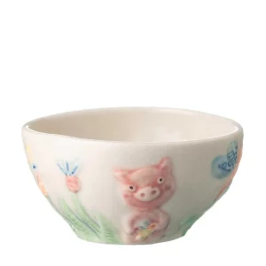 bowl gift items rice bowl tomoko konno